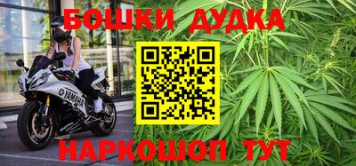 соль ск Партизанск
