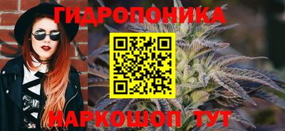 соль ск Партизанск