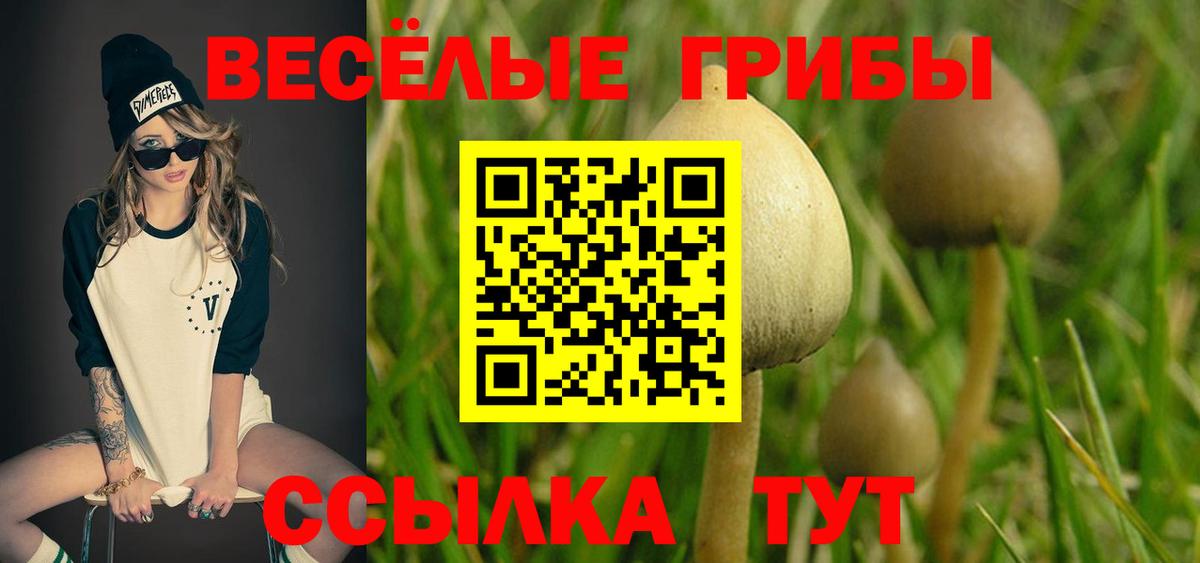 Псилоцибиновые грибы Psilocybine cubensis Пенза
